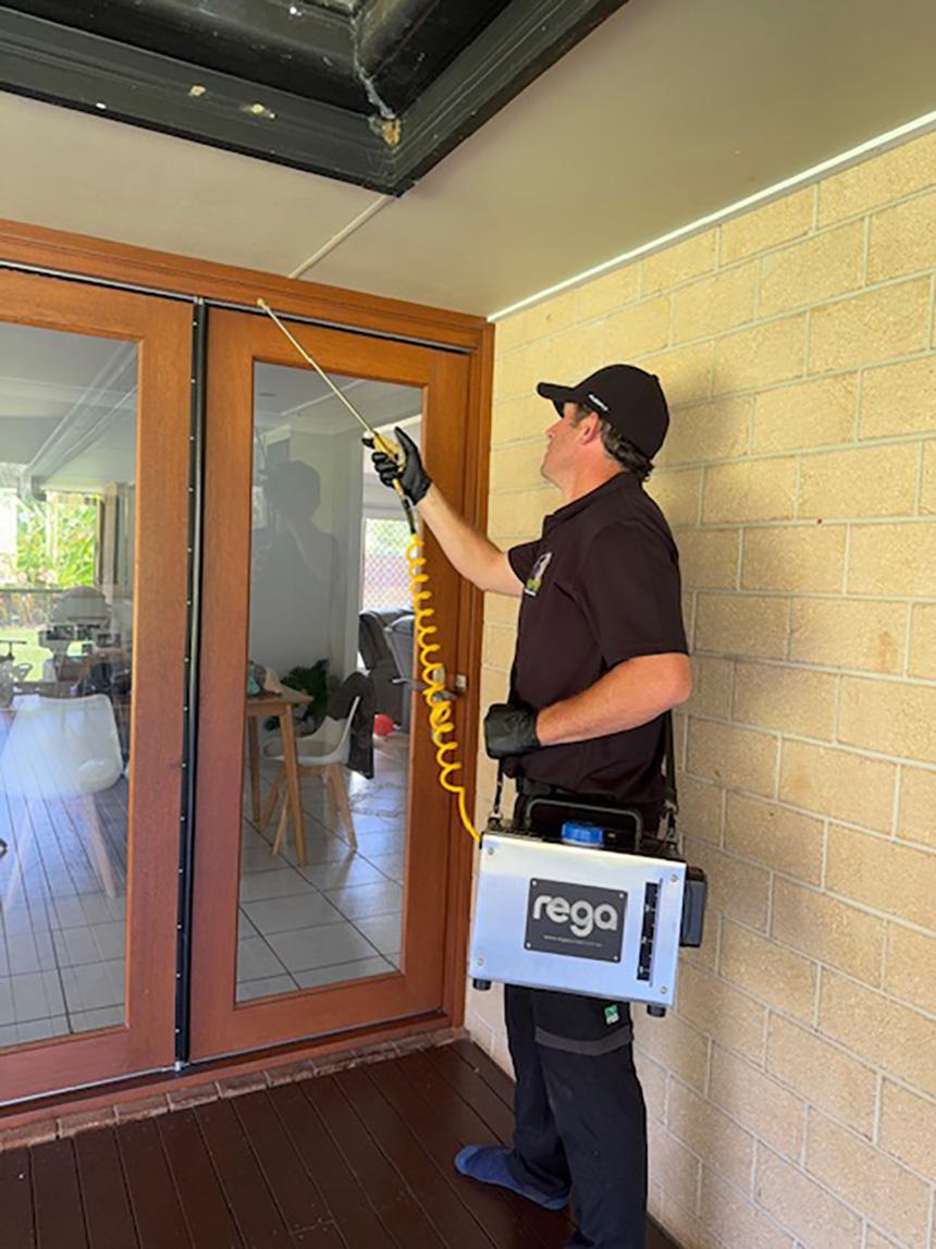 termite inspections bribie island